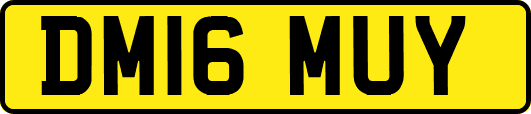 DM16MUY