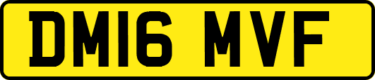 DM16MVF