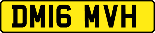 DM16MVH