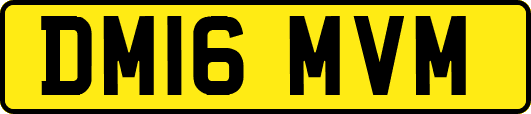 DM16MVM