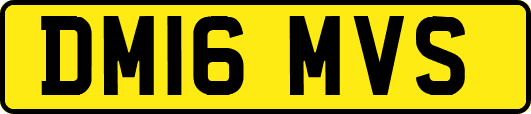 DM16MVS