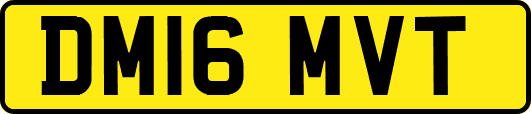 DM16MVT