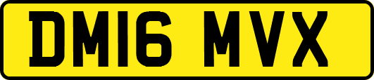 DM16MVX