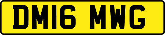 DM16MWG