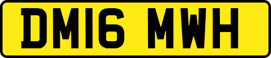 DM16MWH