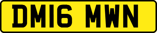 DM16MWN