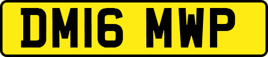 DM16MWP