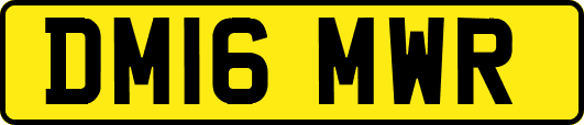 DM16MWR