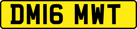DM16MWT