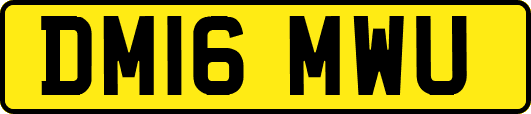 DM16MWU