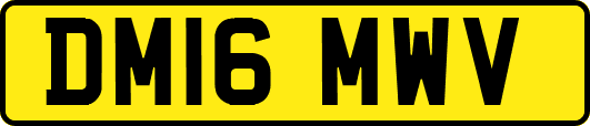 DM16MWV