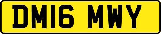 DM16MWY