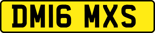 DM16MXS
