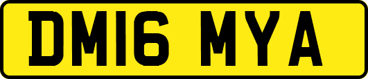DM16MYA