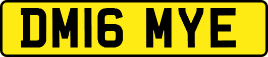DM16MYE