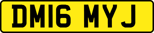 DM16MYJ