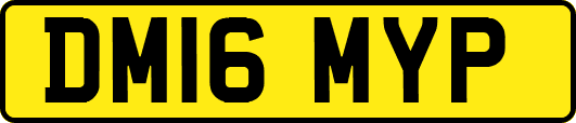 DM16MYP
