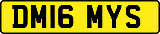 DM16MYS