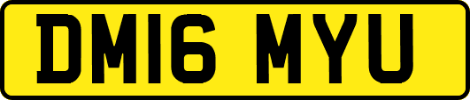 DM16MYU