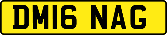 DM16NAG