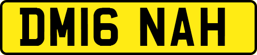 DM16NAH