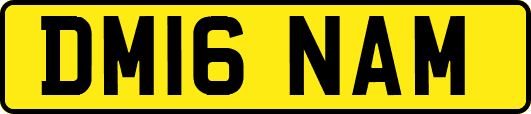 DM16NAM