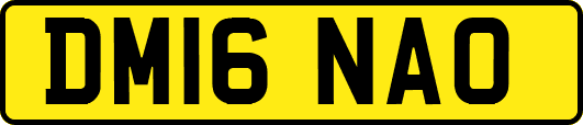 DM16NAO
