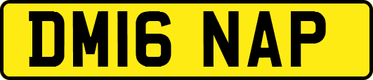 DM16NAP