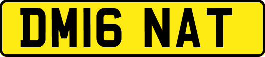 DM16NAT