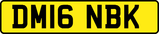 DM16NBK