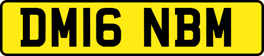 DM16NBM