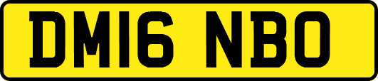 DM16NBO