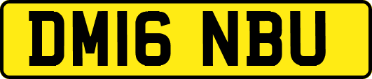 DM16NBU