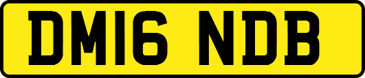 DM16NDB