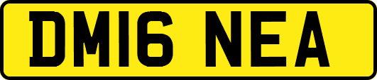 DM16NEA