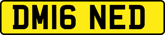 DM16NED