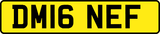 DM16NEF