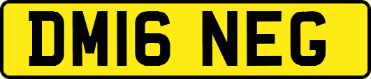 DM16NEG