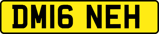 DM16NEH