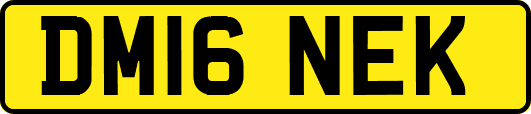 DM16NEK