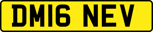 DM16NEV