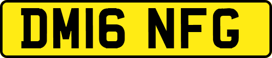 DM16NFG