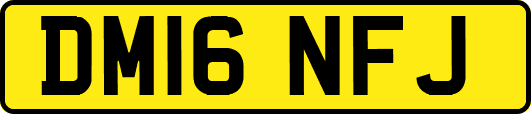 DM16NFJ