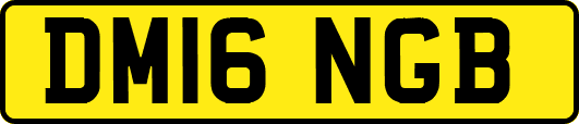 DM16NGB