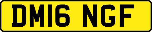 DM16NGF