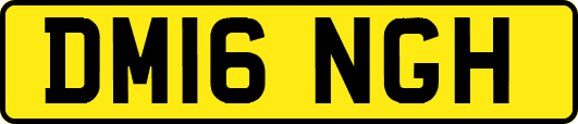 DM16NGH