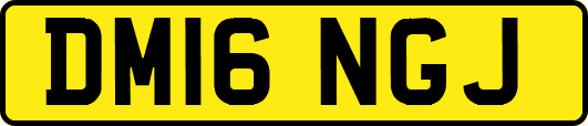 DM16NGJ