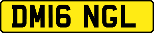 DM16NGL