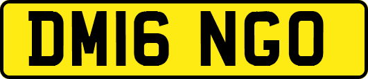 DM16NGO