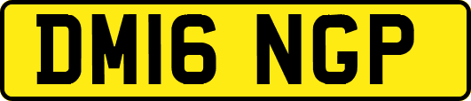 DM16NGP